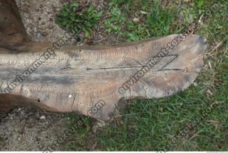 Photo Textures of Wood Roots